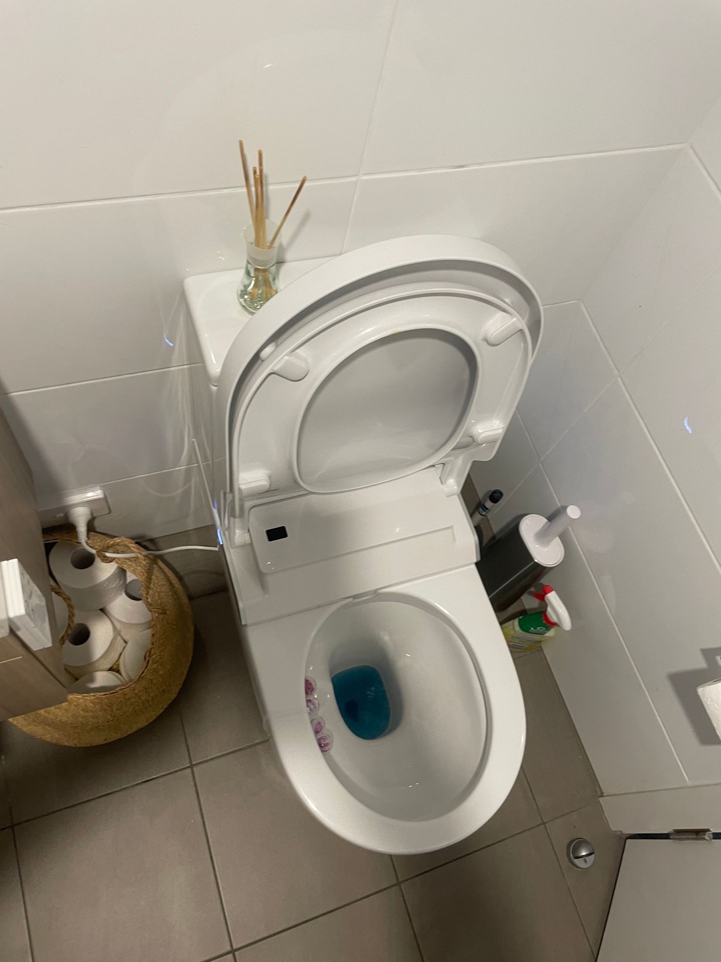 Toilet Repairs