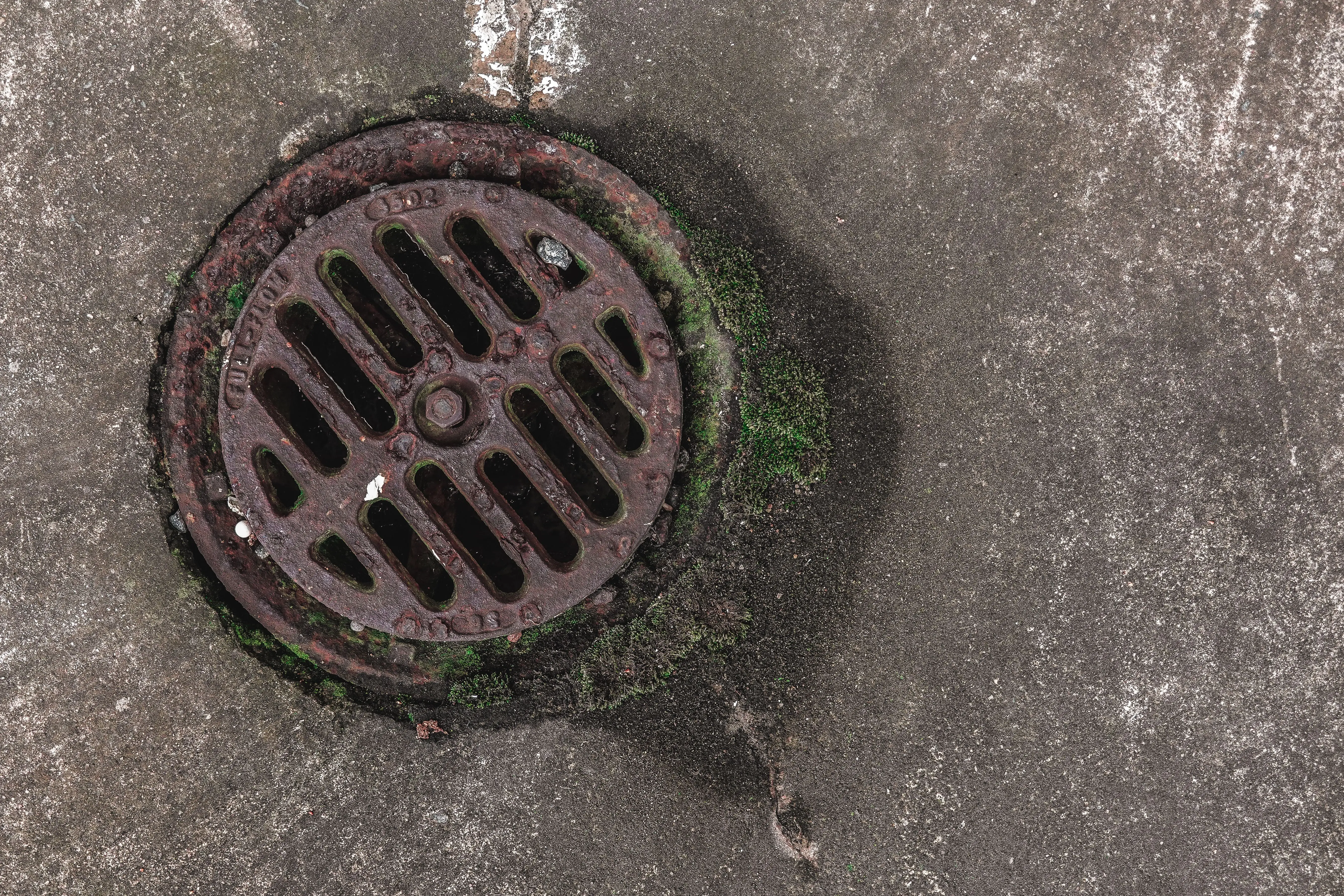 Why Your Adelaide Drains Keep Blocking Up